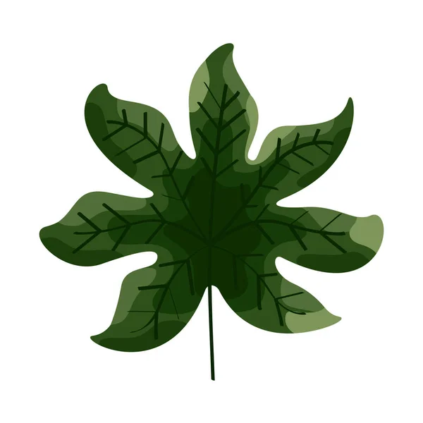 녹색 열대림 잎 — 스톡 벡터