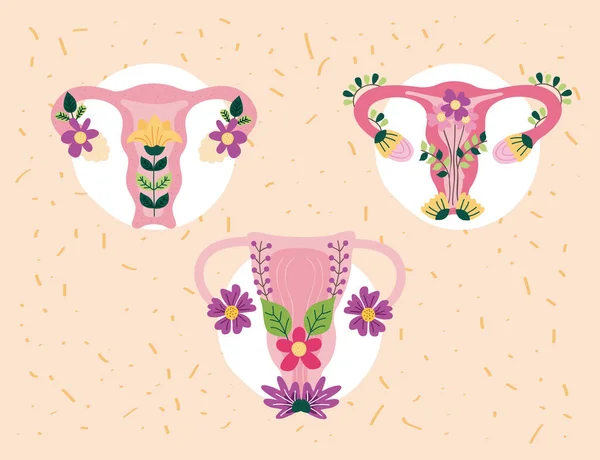 Tři dělohy s květinami — Stockový vektor