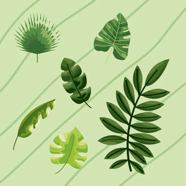 Sechs botanische Blätter — Stockvektor