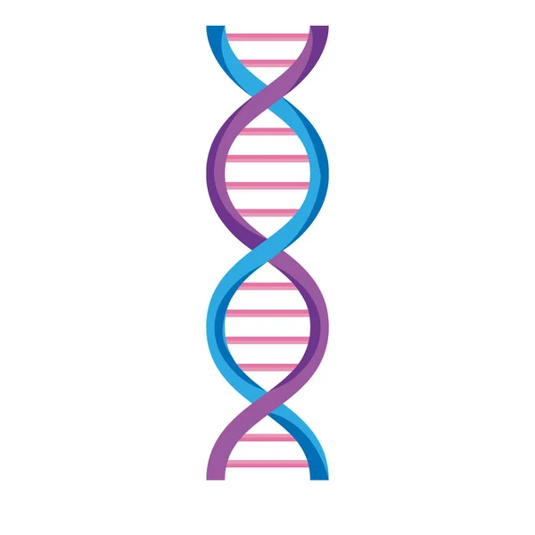 Molécula de ADN púrpura — Vector de stock