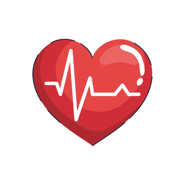 Heart cardiology icon — Stock Vector