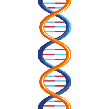 turuncu DNA molekülü
