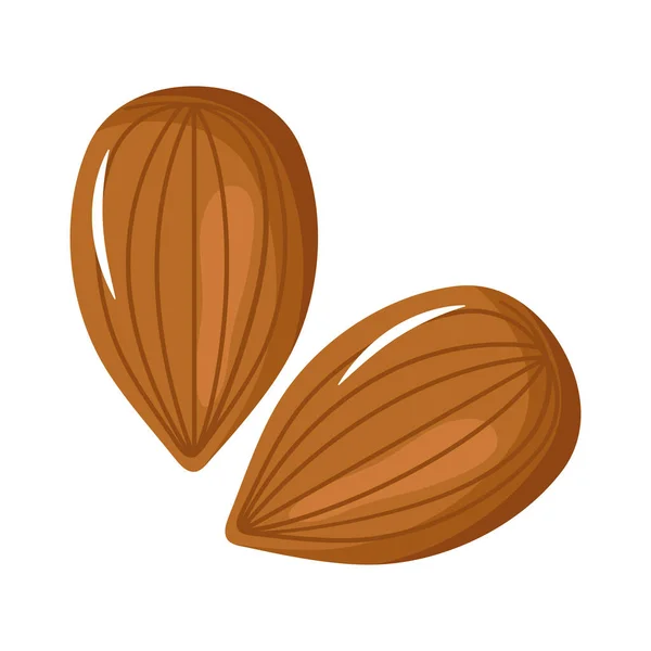 Иконы семян миндаля — стоковый вектор