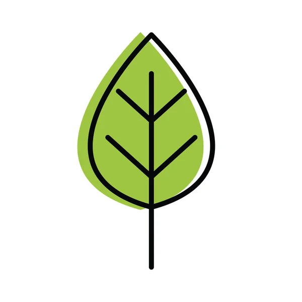 Ökologische Blattpflanze — Stockvektor