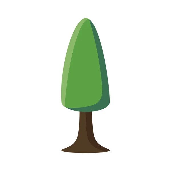 Tall träd växt — Stock vektor