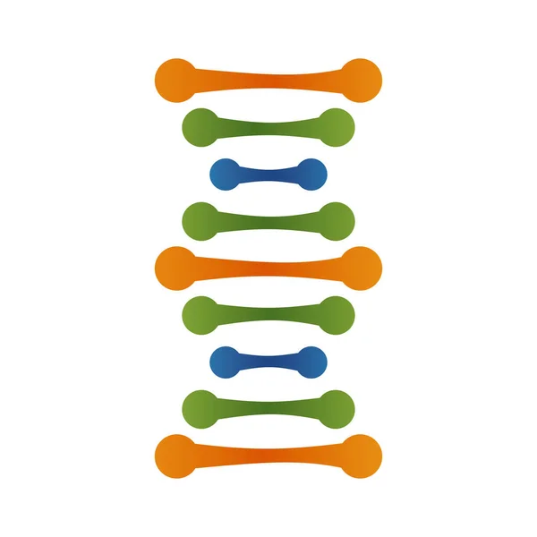 Barvy molekuly DNA — Stockový vektor
