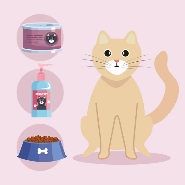 Katt- och sällskapsdjursbutik — Stock vektor