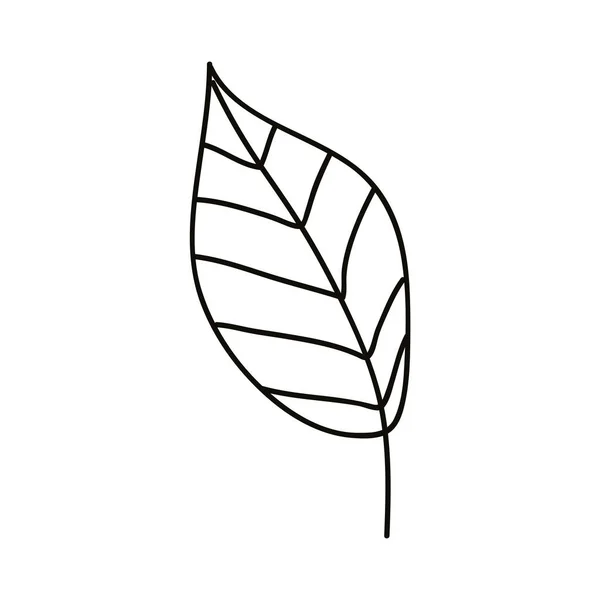 手绘的叶子 — 图库矢量图片