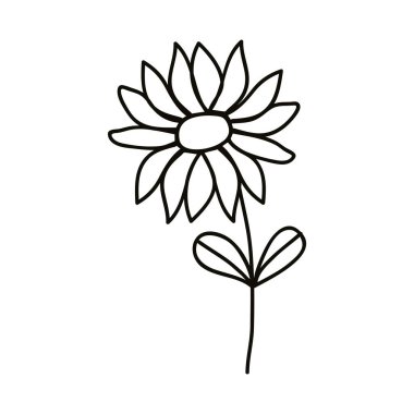 Yapraklar ve çiçekler çizildi