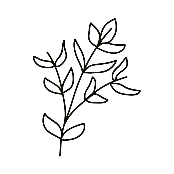 Rami e foglie — Vettoriale Stock
