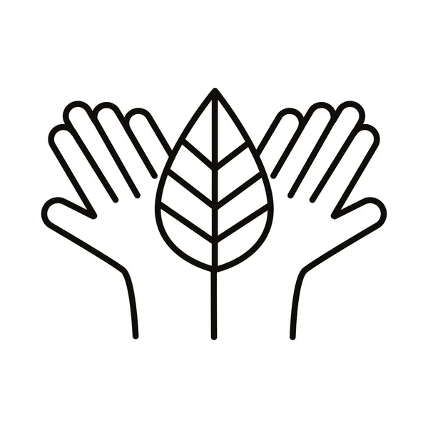 Hands with leaf — Stock Vector