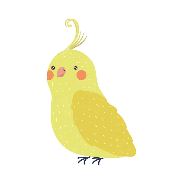 Canary bird specie — Stockový vektor