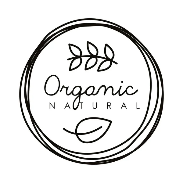 Organic natural seal — Stock Vector