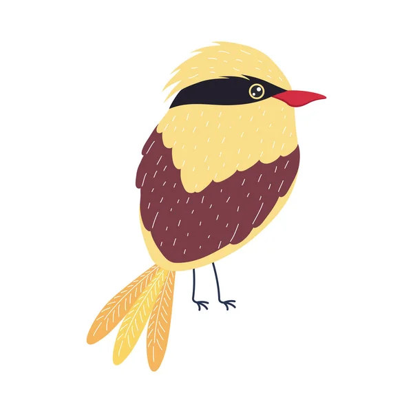 Oriole doré oiseau — Image vectorielle