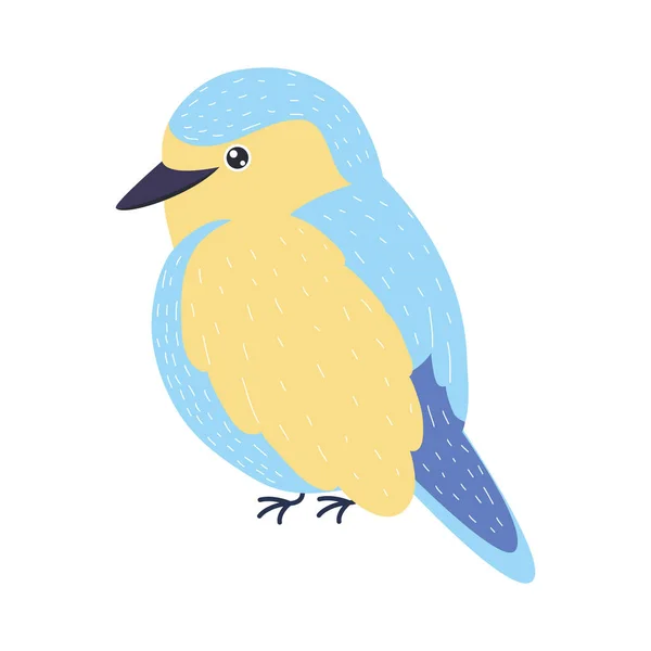 Kingfisher bird specie — Stock Vector