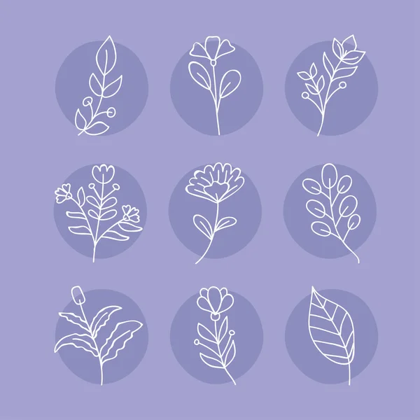 9 pictograme desene florale — Vector de stoc