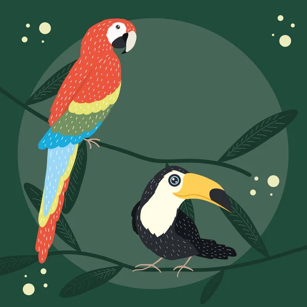 Papegaai en toekan — Stockvector