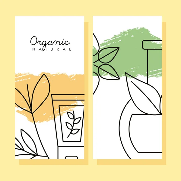 Organik kozmetik kartları — Stok Vektör