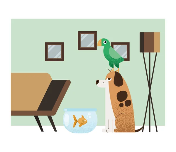 Tres mascotas en casa — Vector de stock