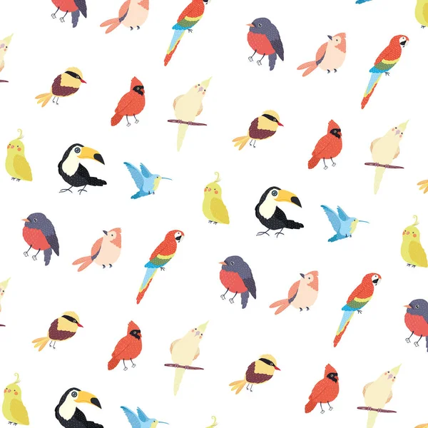 Muster der Vogelarten — Stockvektor