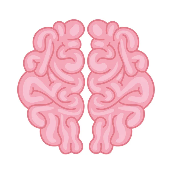 Icona del cervello sulla fronte — Vettoriale Stock