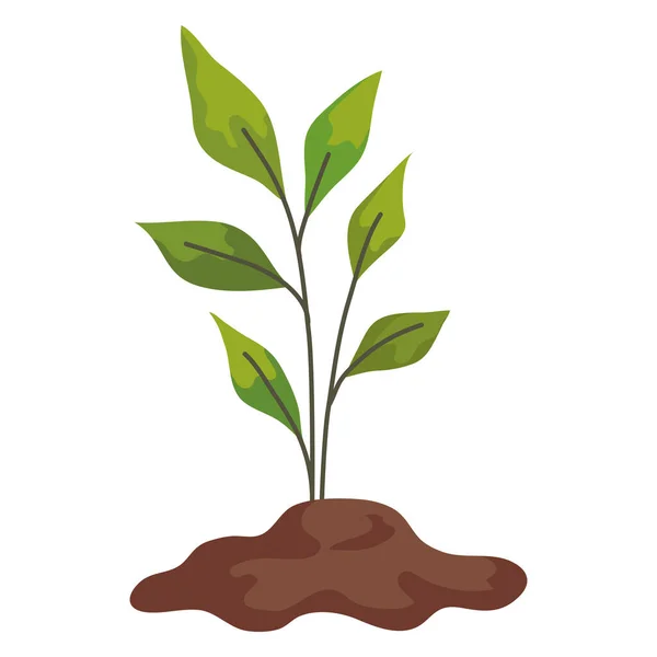 Plant growing from soil — Stock Vector