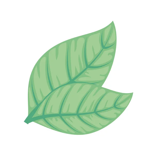 녹색 잎의 아이콘 — 스톡 벡터