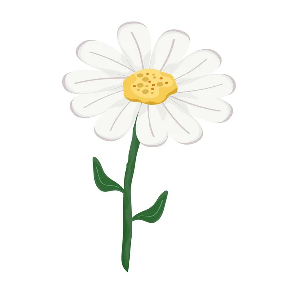 Ikona kwiatowa stokrotka — Wektor stockowy