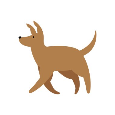 Küçük şirin köpek.