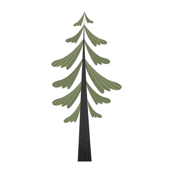 Planta de pino — Vector de stock