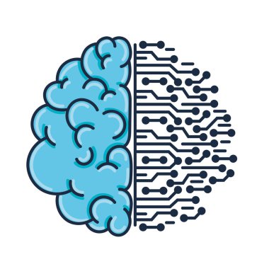 brain and circuit