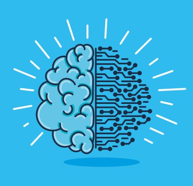 brain and circuit