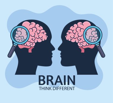 brains human think different