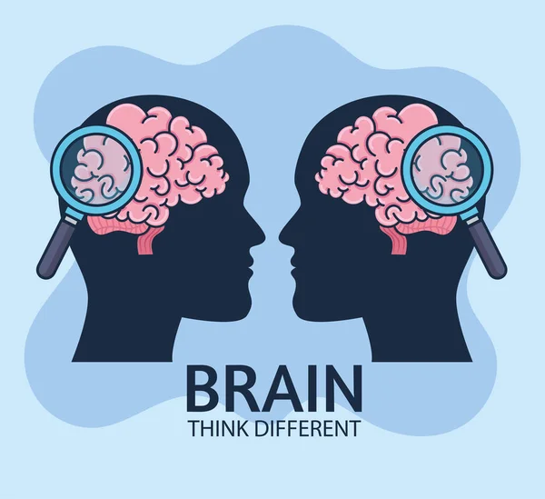 Brains human think different — Stock Vector