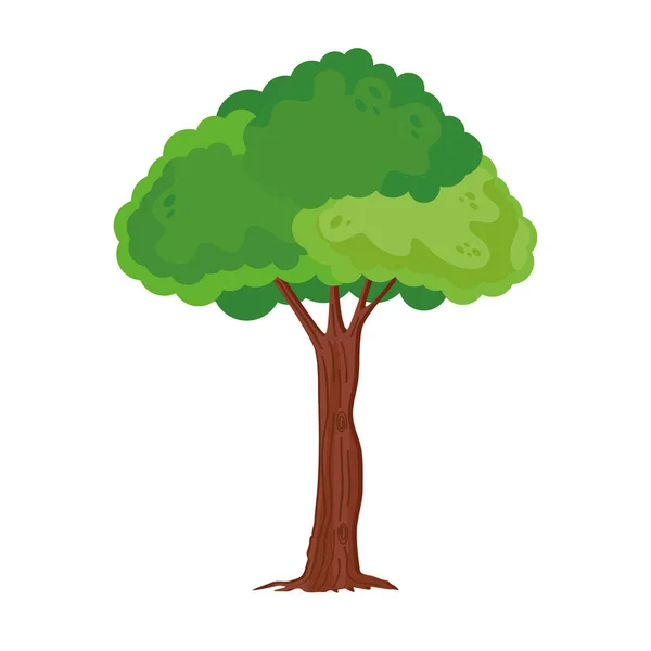 Árbol planta icono — Vector de stock