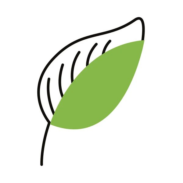 Экологические листья — стоковый вектор