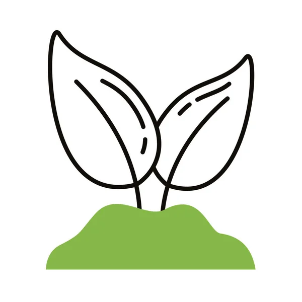 植物生態系の性質 — ストックベクタ