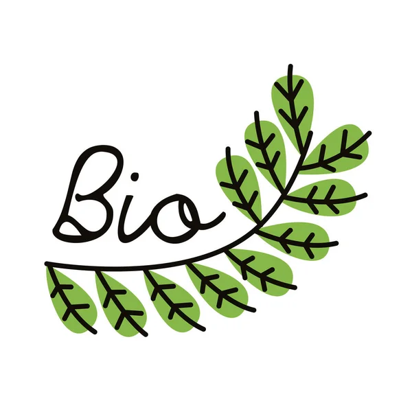Plante de feuilles bio — Image vectorielle