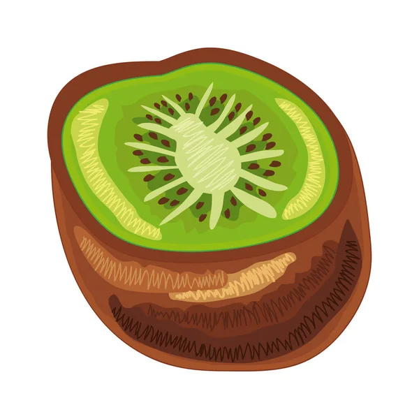 Kiwi frisches Obst — Stockvektor