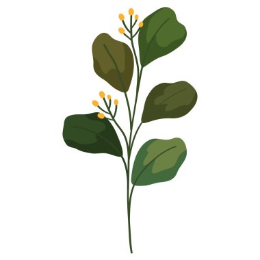 Yapraklı portakal çiçeği