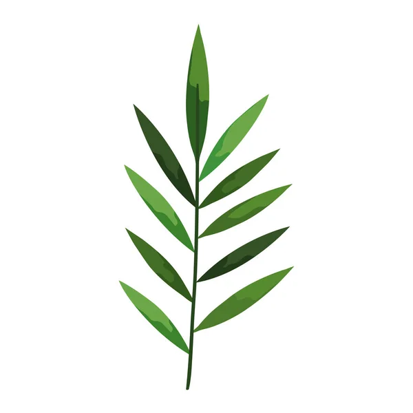 Изолированный тропический лист — стоковый вектор
