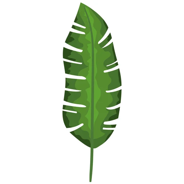 Icono de hoja tropical — Vector de stock