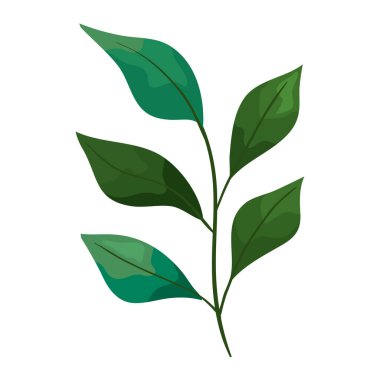 bahar yaprağı simgesi