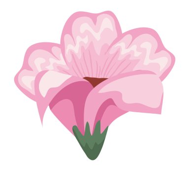 Bahçe ışığı pembe çiçek