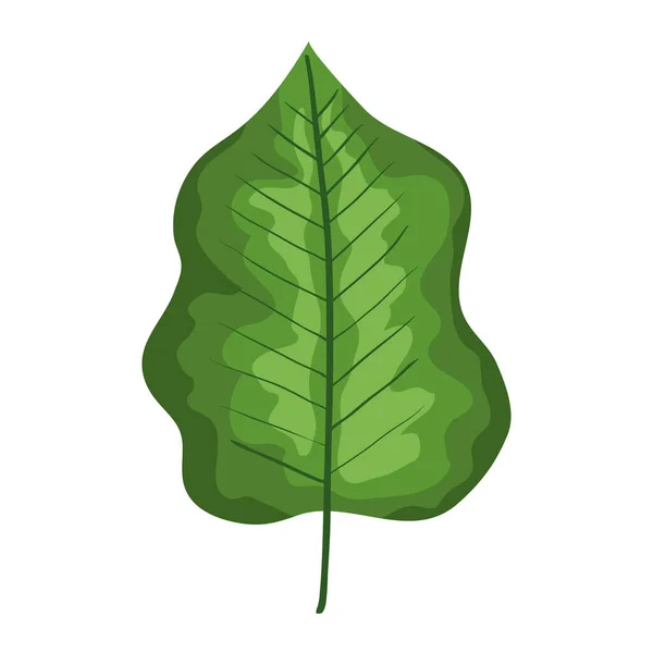 Groen blad pictogram — Stockvector