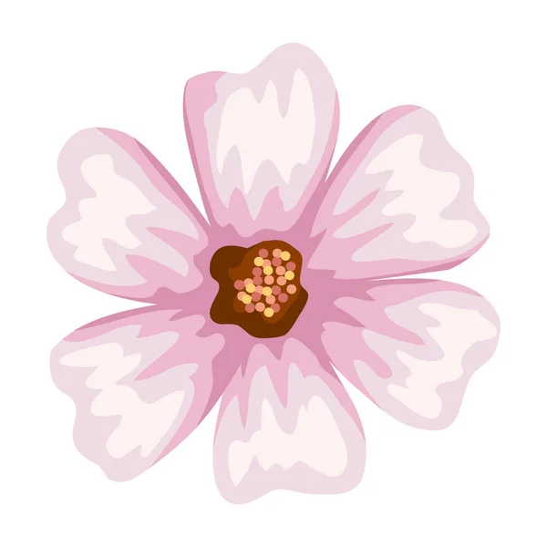 Fleur rose clair — Image vectorielle