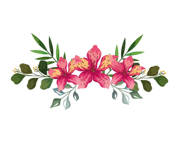 葉を持つハワイの花 — ストックベクタ