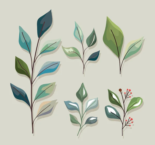 Planta hojas icono conjunto — Vector de stock