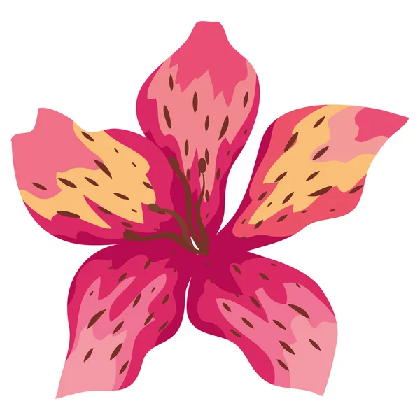 孤立蘭の花 — ストックベクタ