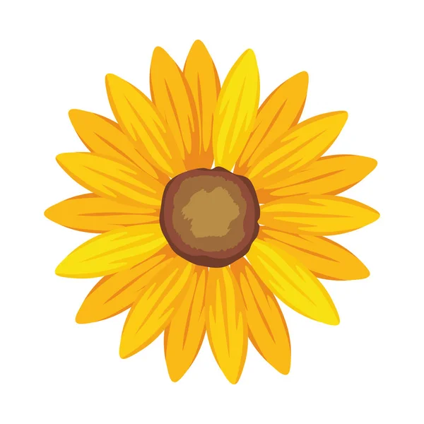 Flor amarela isolada — Vetor de Stock